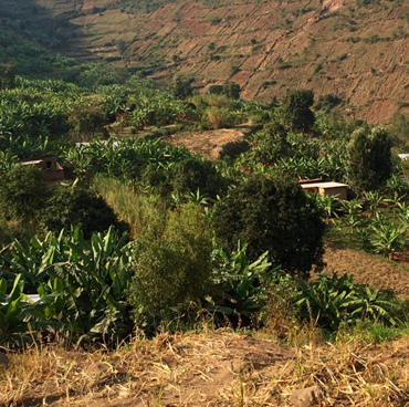 PC Rwanda